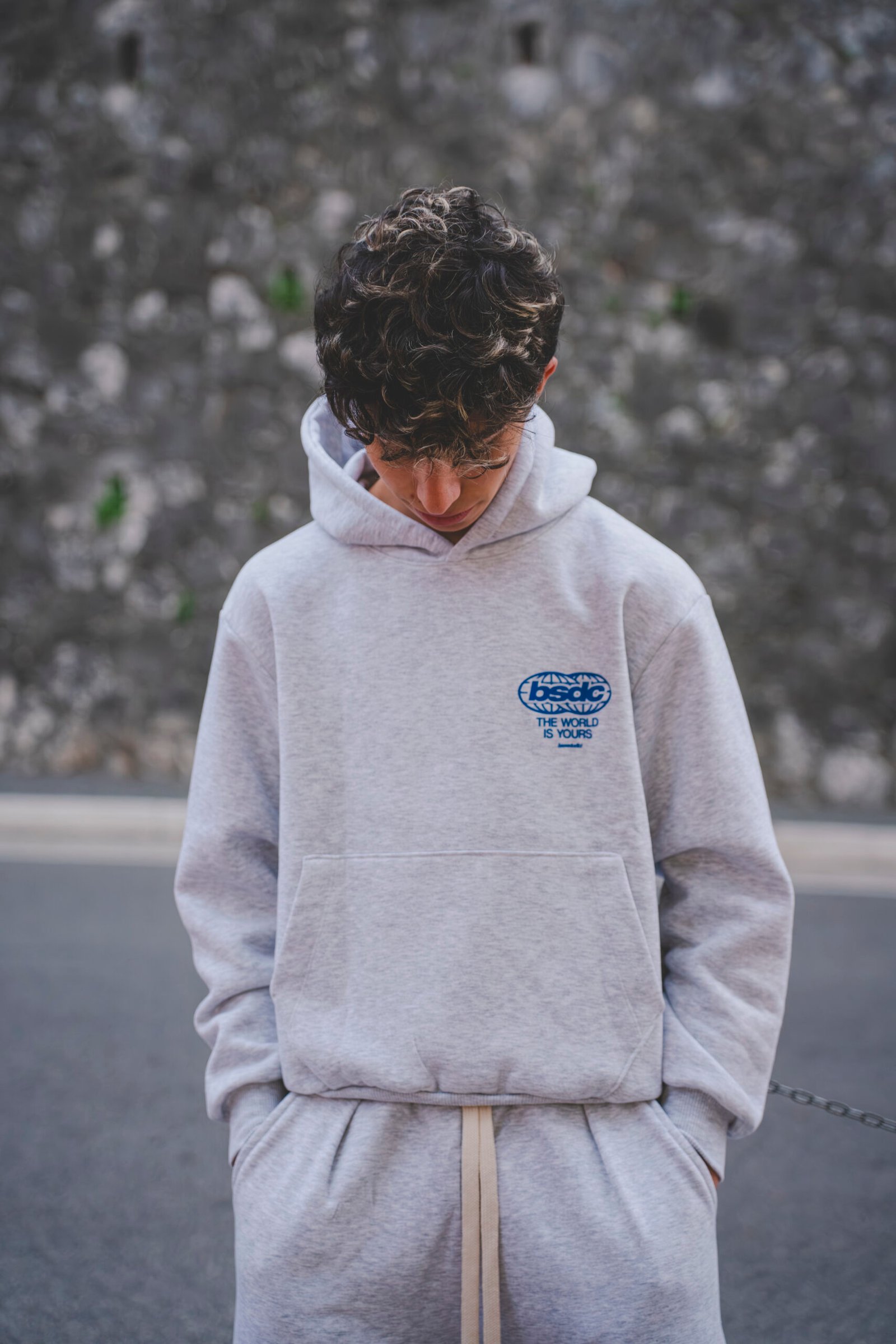 HOODIE "WORLD TOUR" DIPLOMATIC IMMUNITY ASHGREY - immagine 2