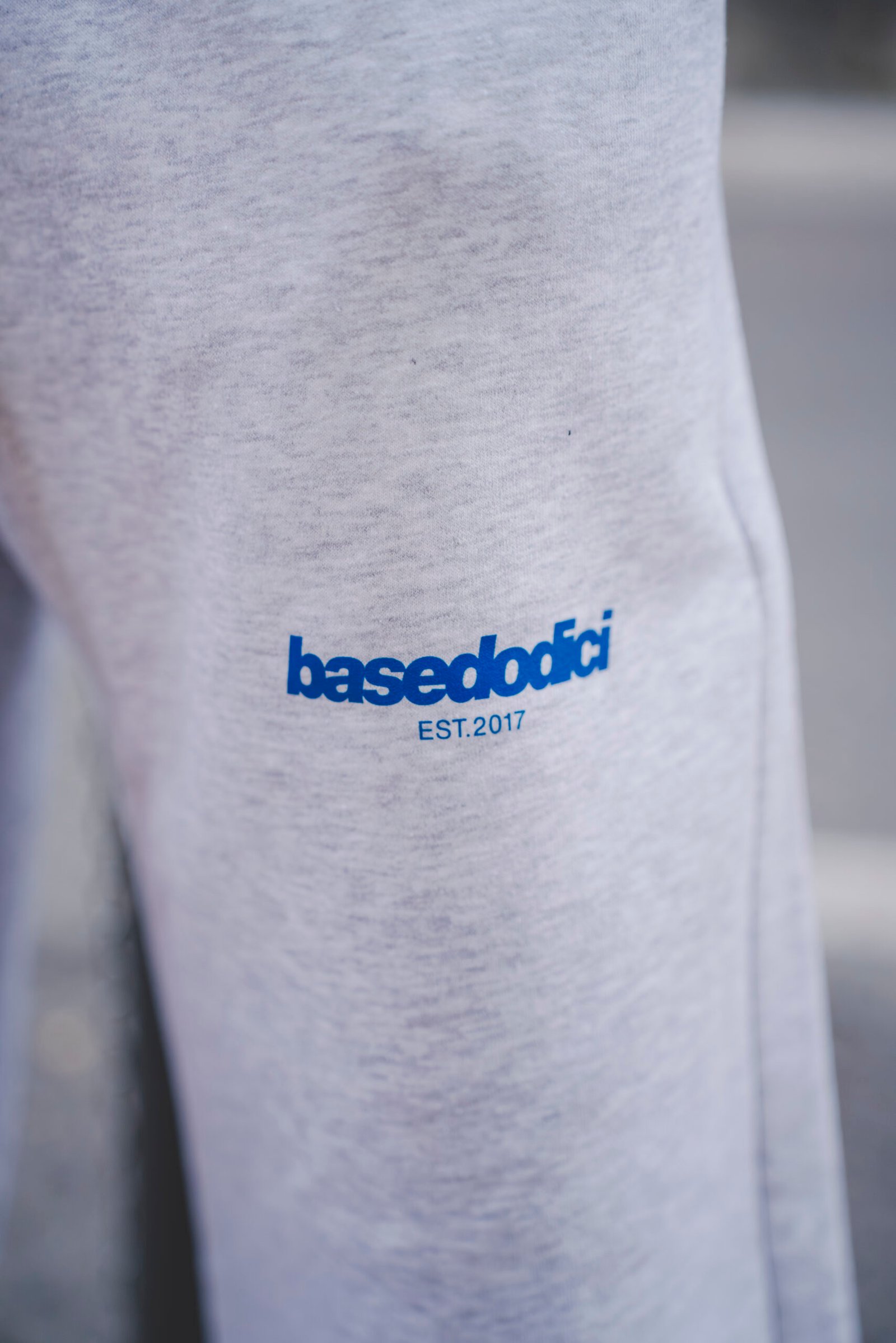 FLEECE PANTS "COMFY" FRONT LOGO ASHGREY/BLUE - immagine 2