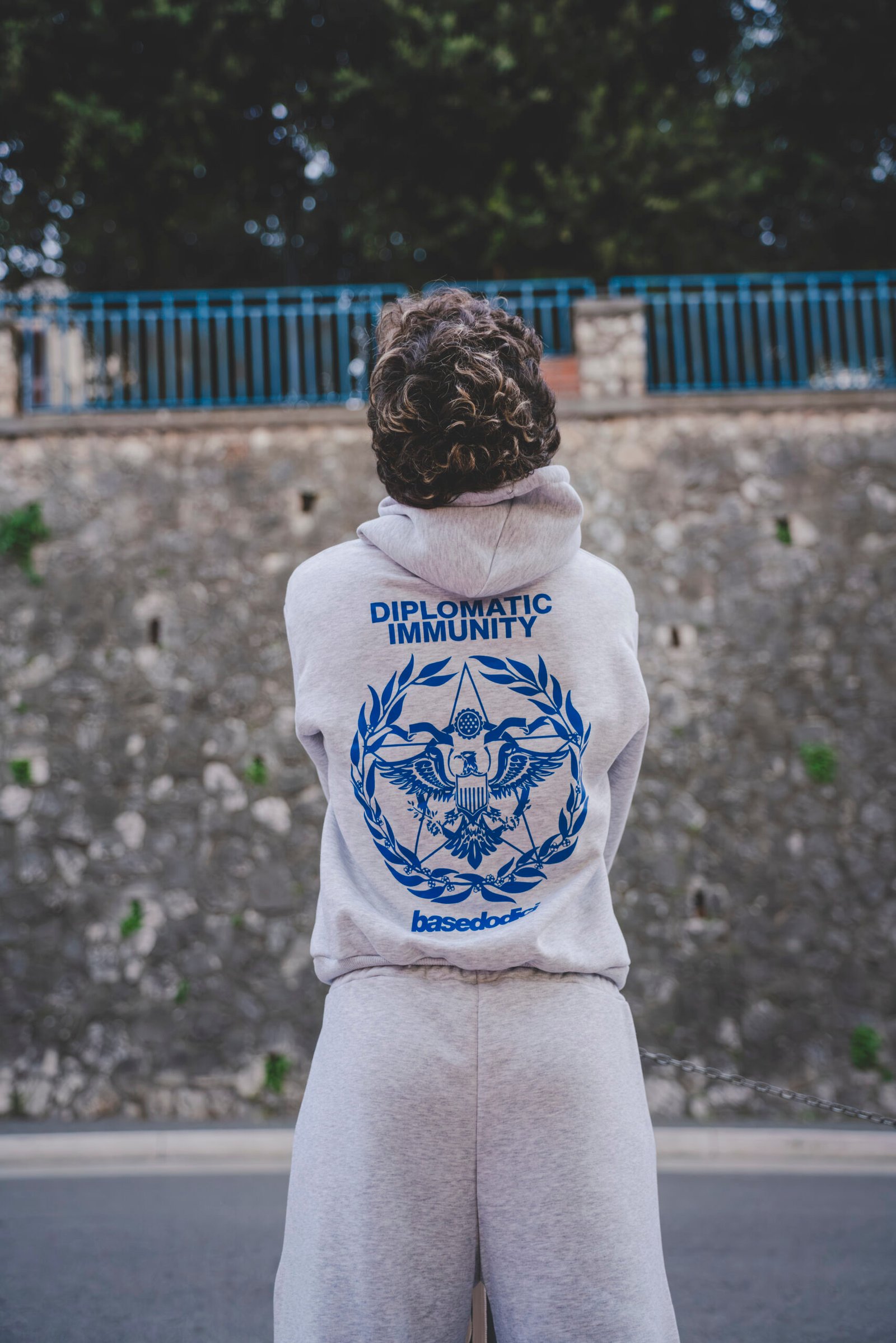 HOODIE "WORLD TOUR" DIPLOMATIC IMMUNITY ASHGREY - immagine 4