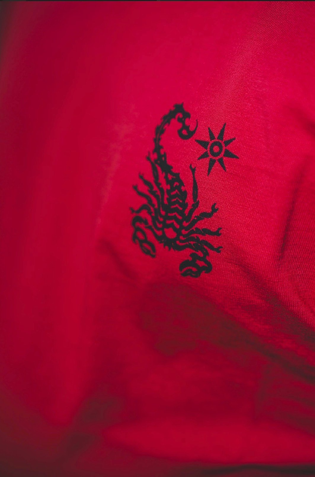 SCORPION BAY T-SHIRT STAMPATA ''SCORPION SHOCK'' BAMBINO - immagine 3